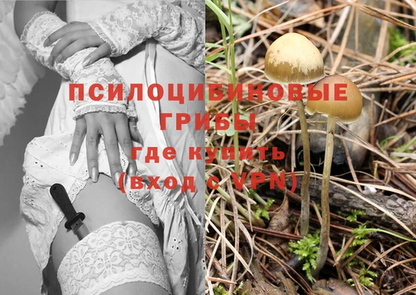 бутират Алексеевка