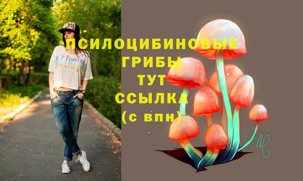 ешки Алексин